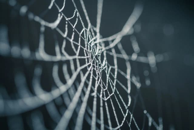 Creating a basic Python web server in Linux